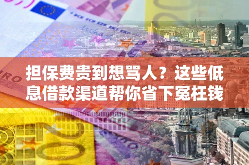 北京担保费贵到想骂人？这些低息借款渠道帮你省下冤枉钱