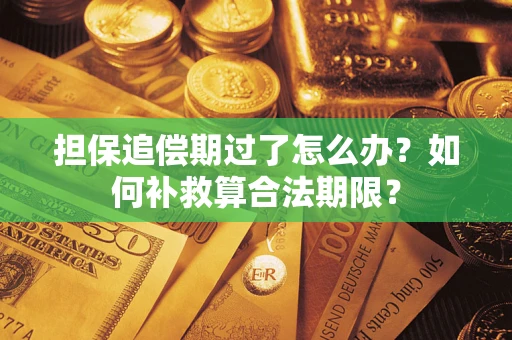 北京担保追偿期过了怎么办？如何补救算合法期限？